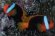 melanopus_1_65.jpg (1536 oCg)